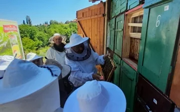 &quot;Mladi pčelari&quot; - 2022.