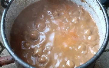 Predstavljanje Udruge na „Veselom Knegincu“ 2023.